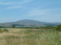 Black Combe